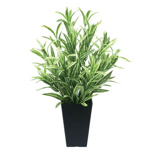 yV X[p[SALE 10%OFF yllw\z̊y (519A70-62) c[gXpC_[  92520