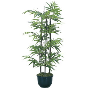 yllw\z̊y (176K125-33) |1.0i:VR|j  92397