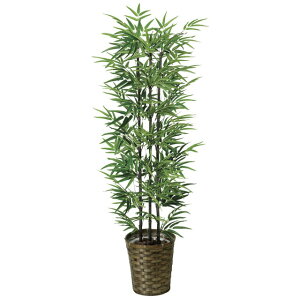 yllw\z̊y (178A230-33) |1.35i:VR|j  92395