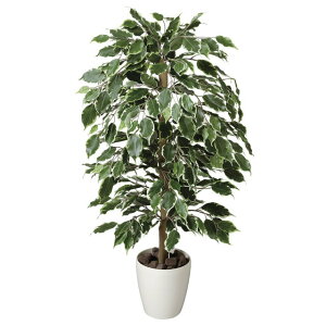 yllw\z̊y (202A150-57) S[ftBJX1.0  92470