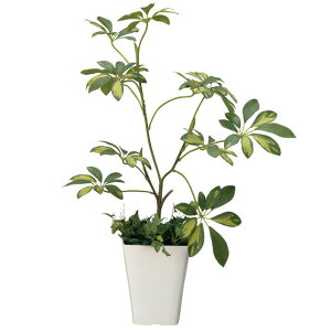 yV X[p[SALE 10%OFF yllw\z̊y (212A80-59) VFt  92486