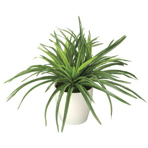 yllw\z̊y (245K45-60) hZi  92511