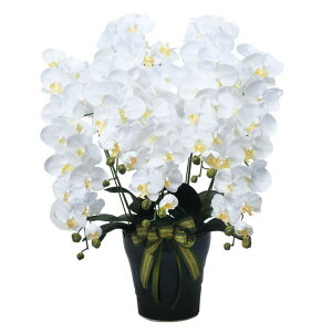 yllw\z̊y (532A300-76) CӒ5{W  92625