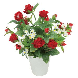 yllw\z̊y (553K25-98) X^[bh  92784