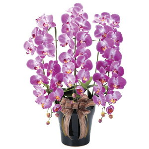 yllw\z̊y (311A200-76) CӒL  92635