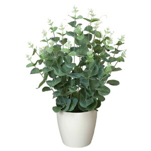 �y�l�l�w���\�z�����̊y�� (385A50-61) ���[�J�� �������� 92512