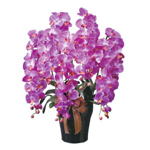 yllw\z̊y (446A300-76) CӒ5{L  92626