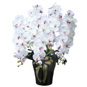 yllw\z̊y (447A300-76) CӒ5{W/AB  92627