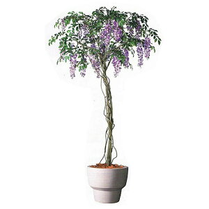 yV X[p[SALE 10%OFF yllw\z y98916z lHϗtA  2m  92879