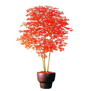 yllw\zy99012z lHϗtA ~W  92886