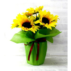 yllw\z ygos-5kz Ђ܂|bg  92922