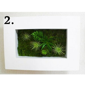 yllw\zyff-0011z {^jJyt[ 2z  92944