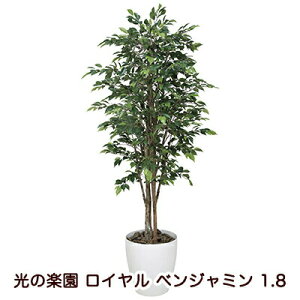 yllw\z̊y (151K650-37) C xW~ 1.8  94122