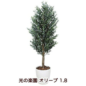 �y�|�C���g3�{ 4/4 20������z �y�l�l�w���\�z�����̊y�� (149K850-44) �I���[�u 1.8 �������� 94130