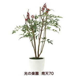 yllw\z̊y (2012K80-34) V70  94167