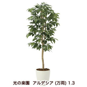 yllw\z̊y (2033A200-54) AfVA () 1.3  94183