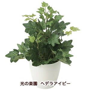 yllw\z̊y (2039K35-64) wfACr[  94194