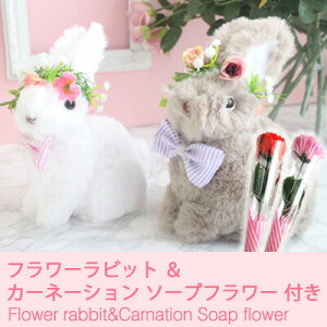 yV X[p[SALE 10%OFF yllw\zt[ zCg rbg  J[l[V \[vt[ t [63-06bb]  95056