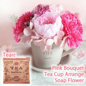 yllw\z sN u[P eBJbv AW \[vt[ gt [4818-LP]  95057