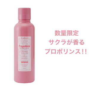 yllw\z sGX SALE Ԍ菤i v|XSAKURA 600ml ×30{  01692