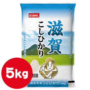 yllw\z ď ܈ ꌧY Ђ 5kg    04313