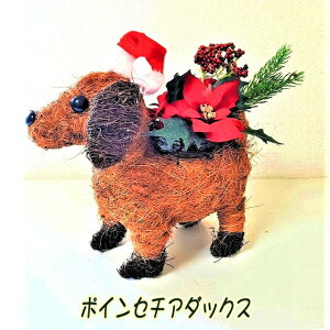 yllw\z|CZ`A _bNX   93846