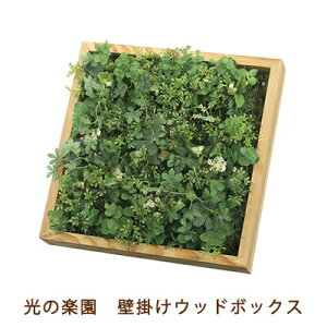 yllw\z̊y (2226A100-17) Ǌ| Ebh {bNX  99449