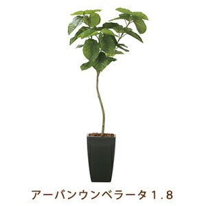 yllw\z̊y (2257K720-22) A[o Ex[^ 1.8  99451