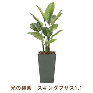 yllw\z̊y (2239K360-30) XL_uTX 1.1  99465