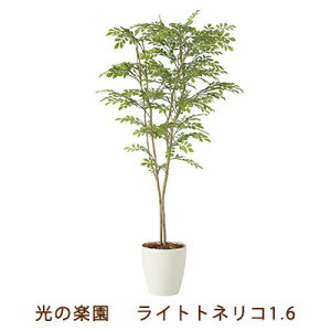 yllw\z̊y (2231K330-42) Cg glR 1.6  99466