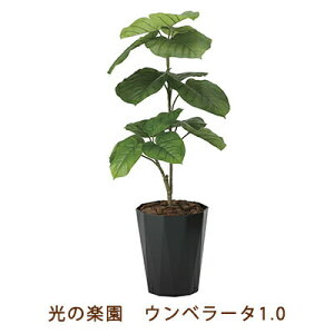 yllw\z̊y (2293K180-55) Ex[^ 1.0  99476