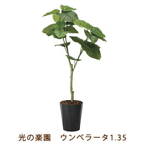 yllw\z̊y (2294K240-55) Ex[^ 1.35  99477