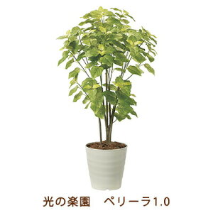 yllw\z̊y (2225A150-57) y[ 1.0  99483