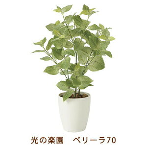 yllw\z̊y (2271K100-59) y[ 70  99489