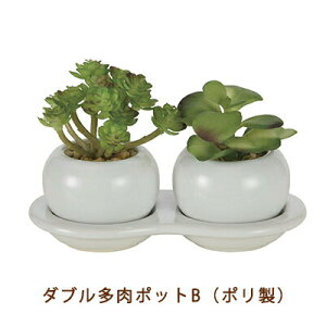 yllw\z̊y (2110A25-67) _u  |bg B ( | )  99504