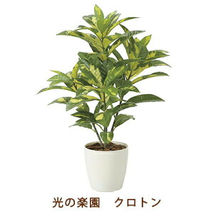 yllw\z̊y (2213A100-67) Ng  99505