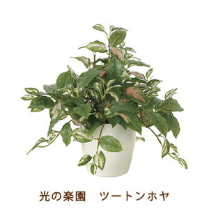 yllw\z̊y (2214A75-67) c[g z  99506