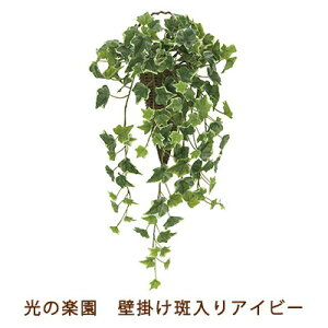 yllw\z̊y (2274A70-72) Ǌ|  ACr[  99514