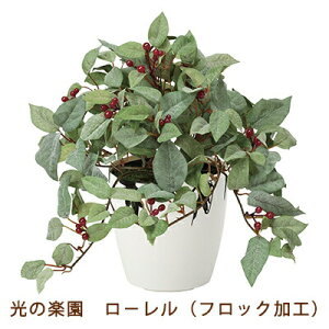 yllw\z̊y (388G40-61) | (tbNH)  99552