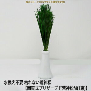 yllw\z(X) sv ͂Ȃ  ֓ vU[uh r_ Mi1j [KKJ-02M] AK  75598