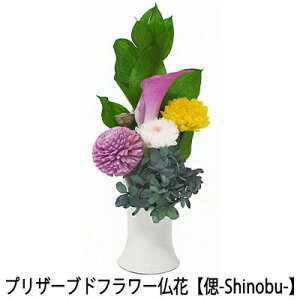 y5%OFF Ԍzyllw\zsv ͂Ȃ   vU[uht[ Ԋt^Cv y-Shinobu-z [AKM-002] AK  75645