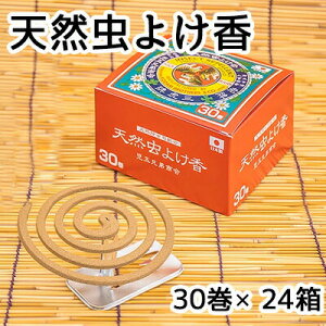 y|Cg5{ Ԍzyllw\z  VR 悯 30 × 24 (1P[X)  61213