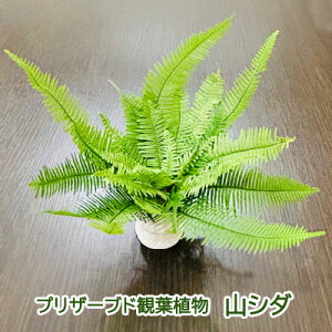 �y�|�C���g3�{ 1/9 20���`�z�y�l�l�w���\�z���v���U�[�u�h�ϗt�A�� �R�V�_ A&K [HP-002] �������� 75810