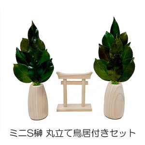 yllw\z ~jS ۗĒtZbg A&K [ ST-055 ]  75855