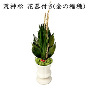 y|Cg3{ Ԍzyllw\z r_ Ԋt (̈) [KJM-001FV] A&K vU[uhO[  75874