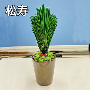 �y�|�C���g3�{ 12/19 20���`�z�y�l�l�w���\�z�� ���� [KDM-003] A&K ������ �v���U�[�u�h �a���_�� ���������� �����s�v �� ��V �� �������� 75882