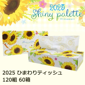 yV X[p[SALE 10%OFF yllw\z Cg} 2025 Ђ܂ eBbVy[p[ 240 120g 60   ؂₩ (20120148)  70438