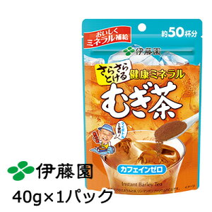 【個人様購入可能】【郵送】 伊藤園 さらさら健康ミネラルむぎ茶 40g 1パック入 送料無料 43507