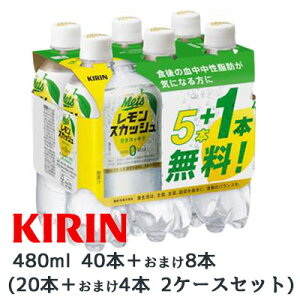 y|Cg3{ Ԍzyllw\z Ԍ SALE [] L bc vX XJbV ( LEMON SQUASH ) 480ml PET 40{{܂8{ v 48{ ( 24{×2P[X ) @\\Hi Mets 