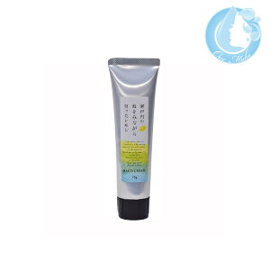 fC[A}Wp ˓ nhN[ 75gyz(}փRpNg YTC) (s1k011)